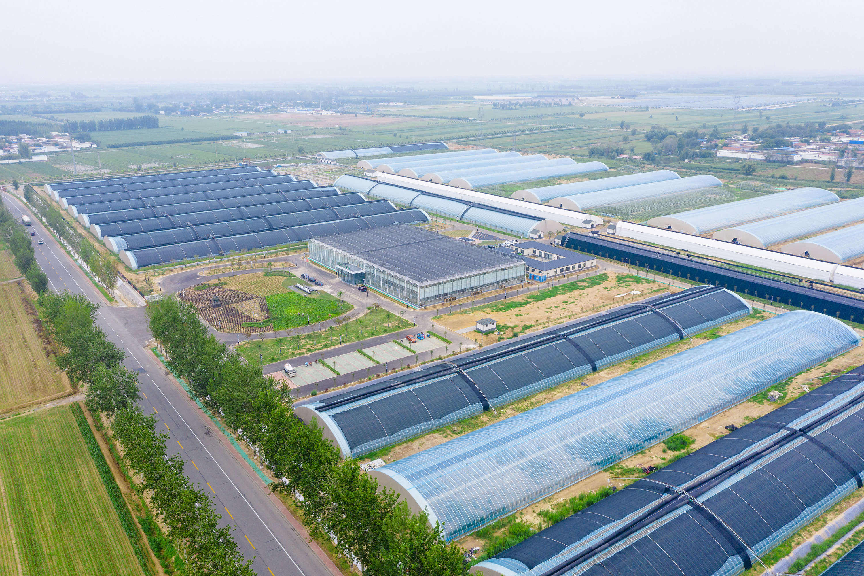 陈康 摄"相较于传统大棚,新型温室大棚更长,更宽,更高