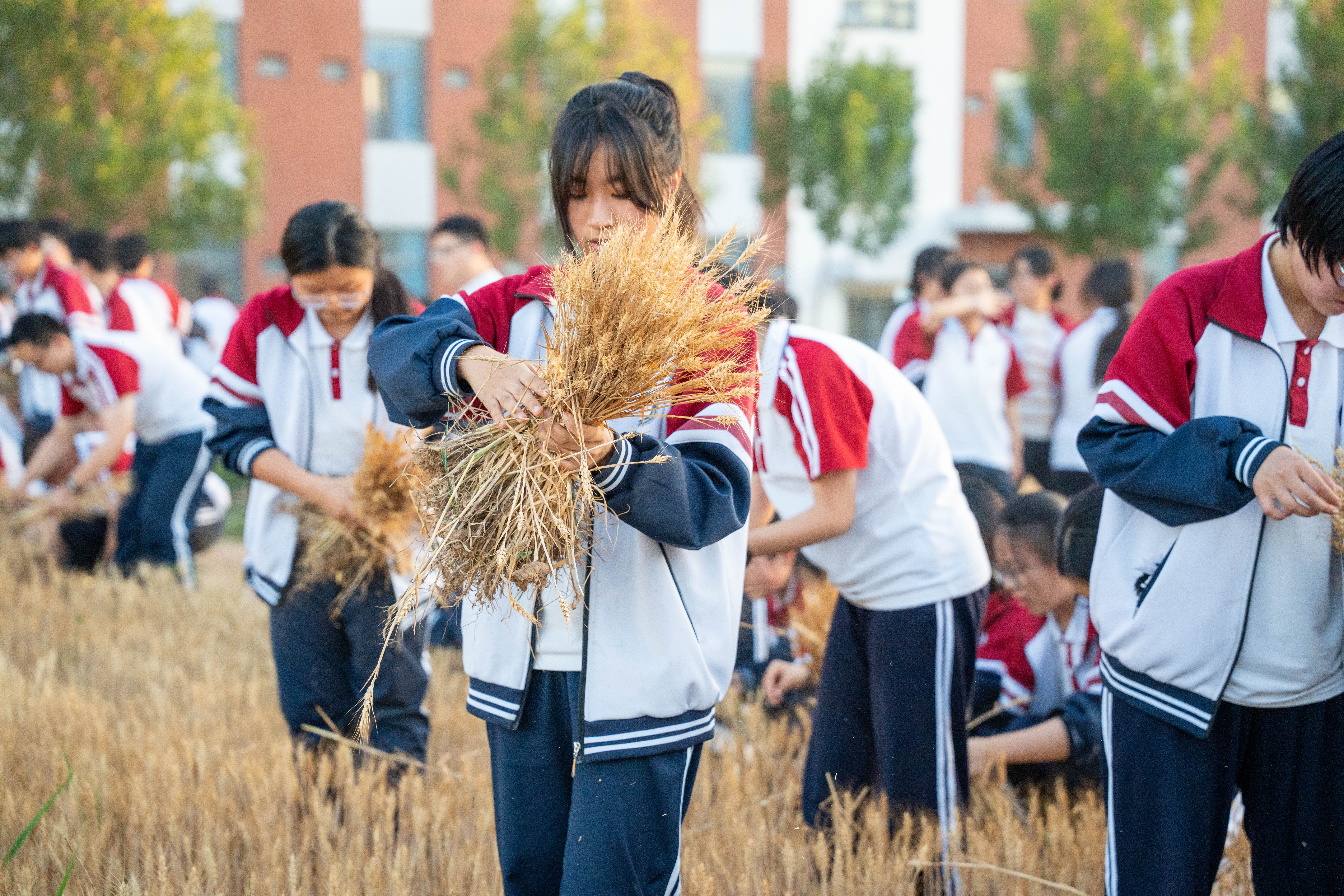 桃城中学网站官网查询_桃城中学高中部官网
