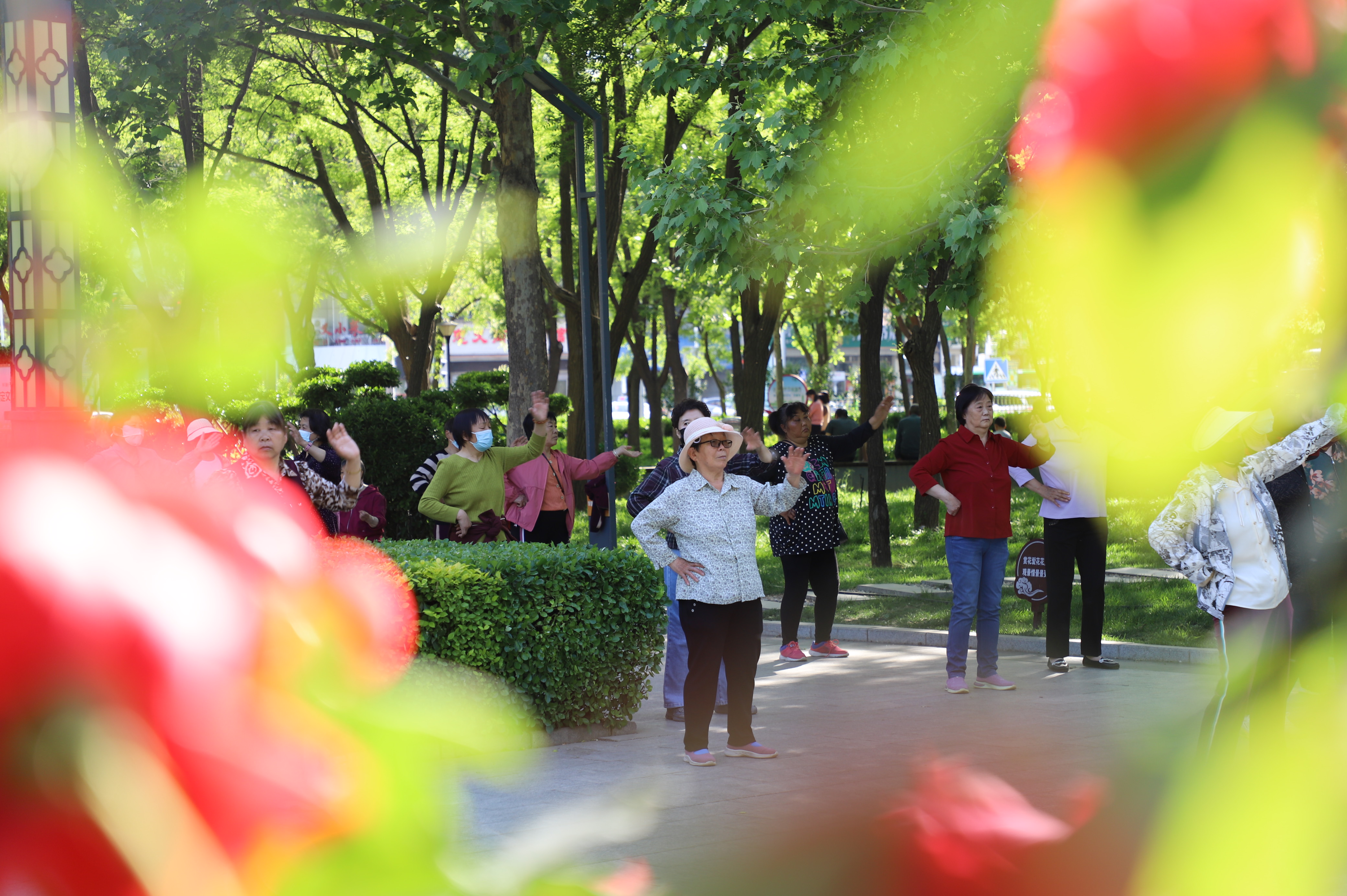 我的位置:>首页>视听>瞬间>正文>近日,市区中华公园内全民健身氛围