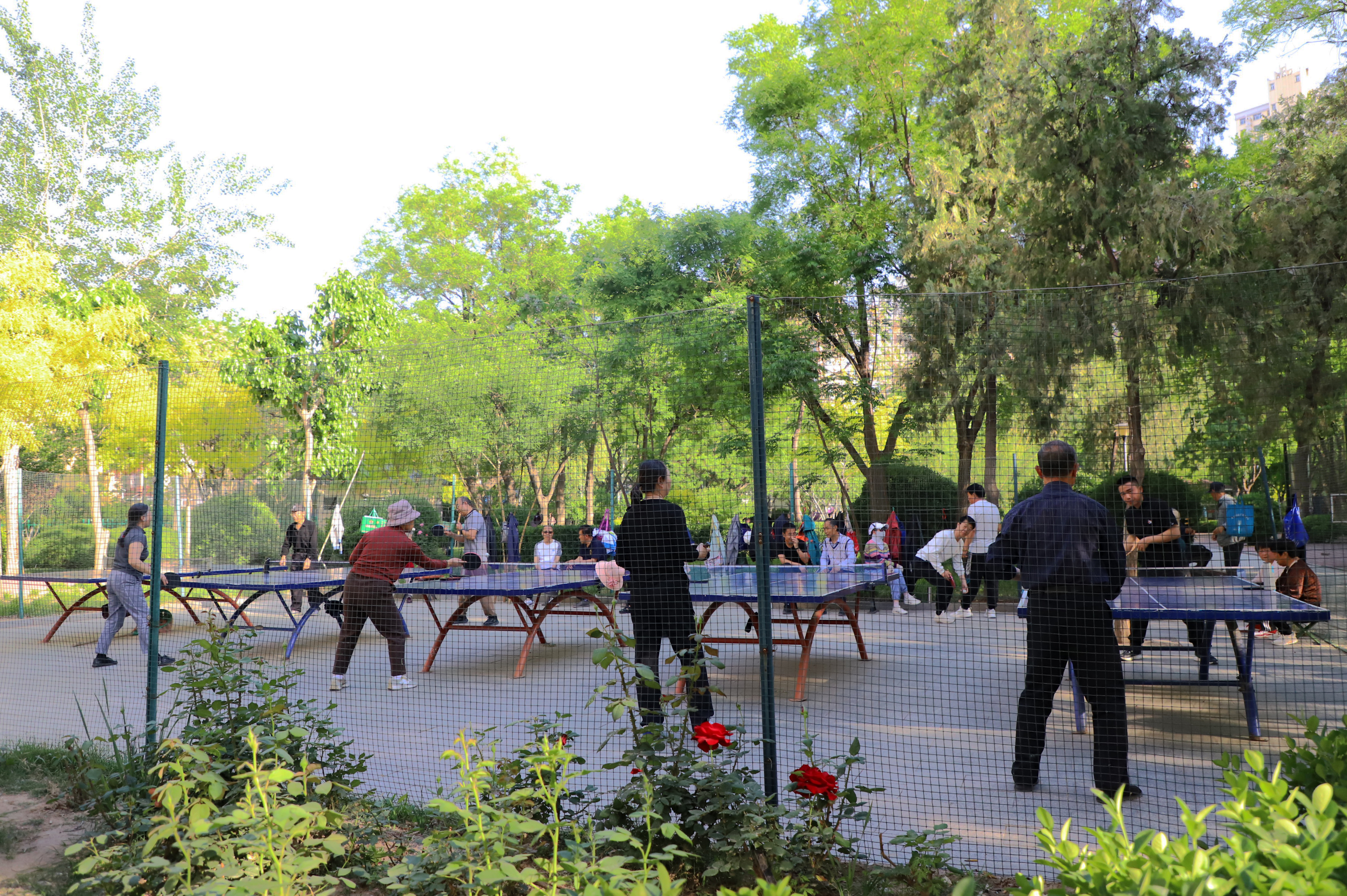 我的位置:>首页>视听>瞬间>正文>近日,市区中华公园内全民健身氛围