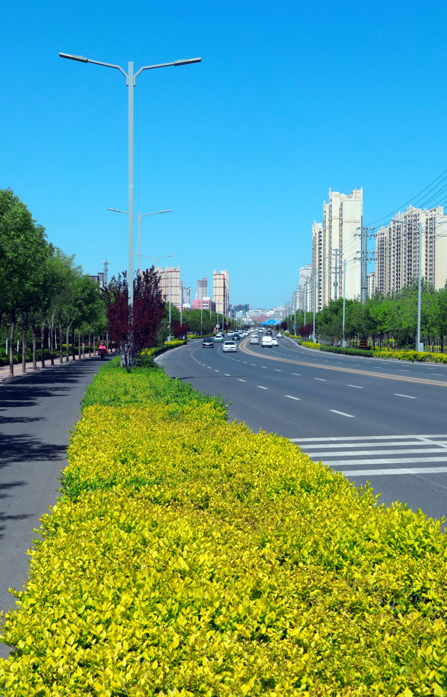 衡水:城市街景影像记录